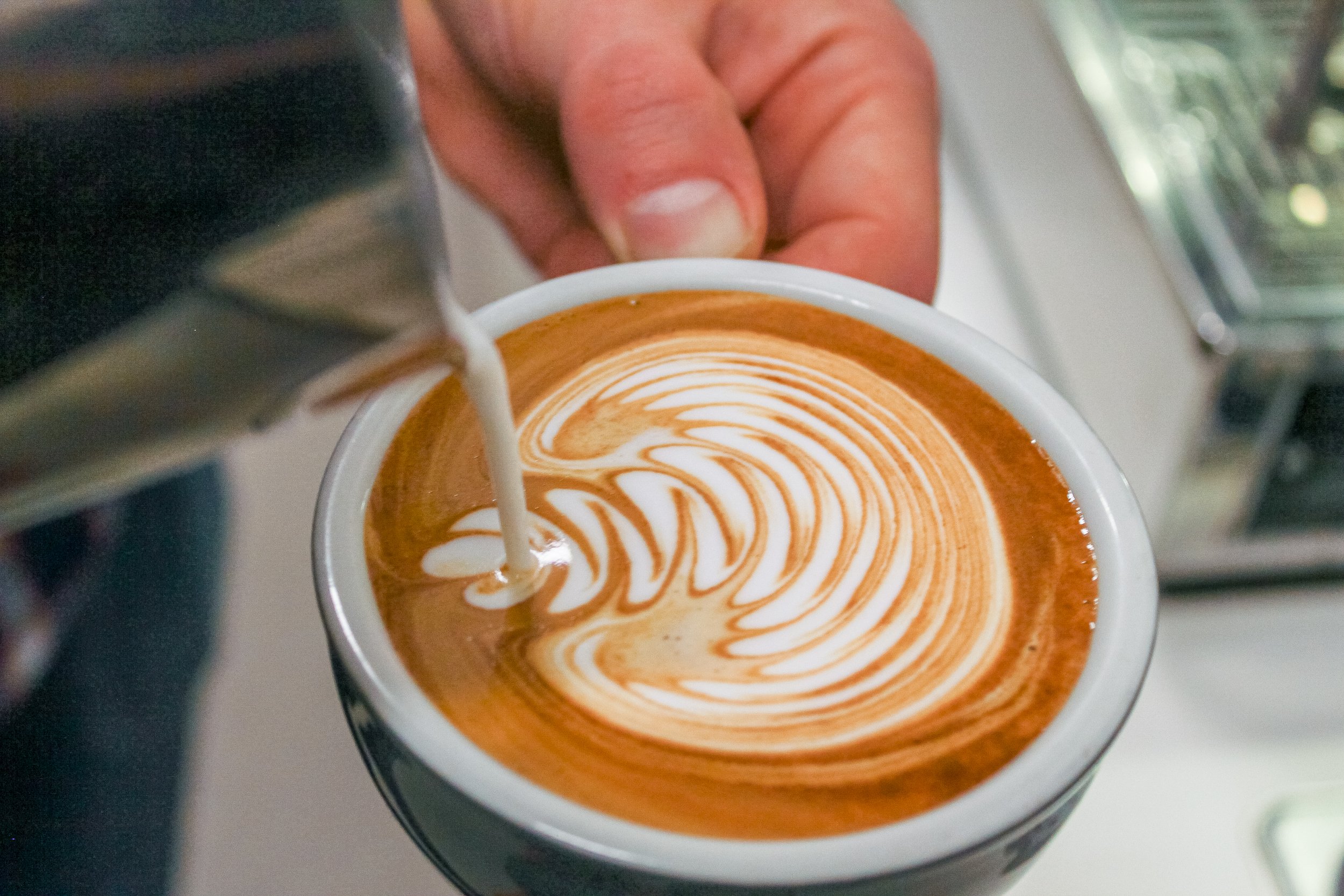 Villino beans at Wondr.